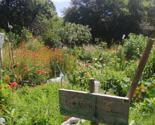 jardin partagé 3