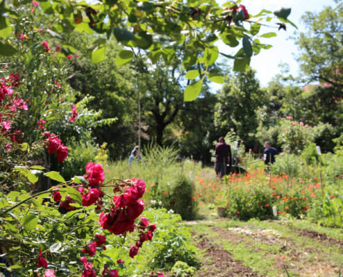 jardins partagés 1